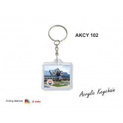 AKCY 102 Acrylic Keychain